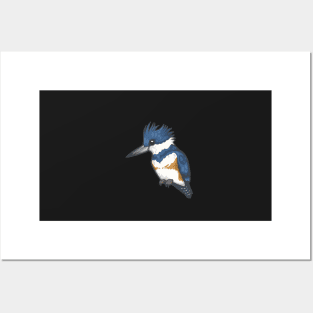 Belted Kingfisher Posters and Art